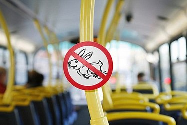 500 рублей – за безбилетный проезд